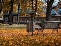 Dāvis Sargūns - Vecpuišu-parks