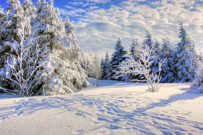 sniegs, sals, ziema, pixabay - Valmieras Ziņas